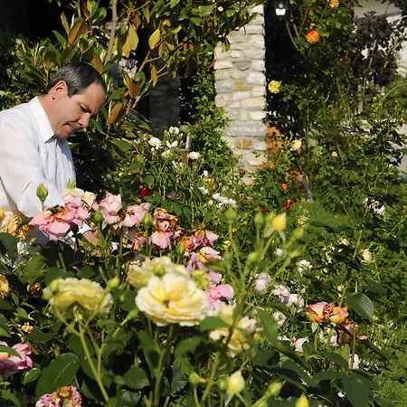 Jennifer מלון Taxiarches (Drama)