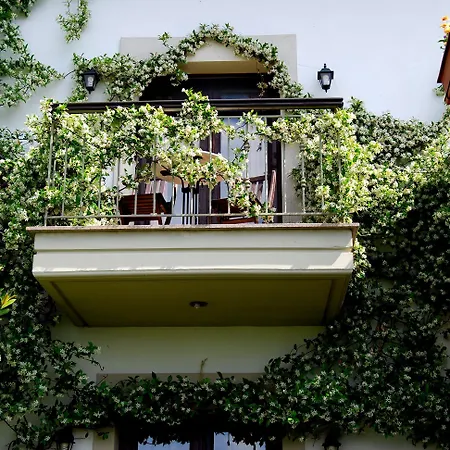 Jennifer Taxiarches (Drama)