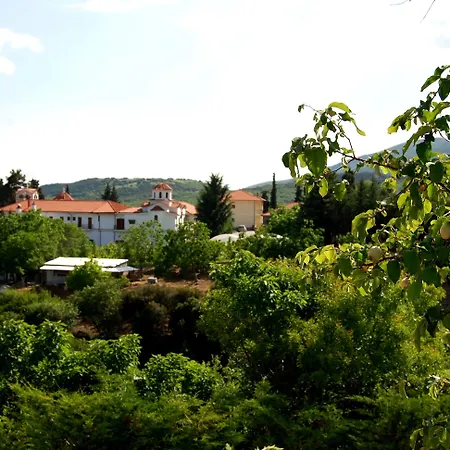 מלון Jennifer Taxiarches (Drama)