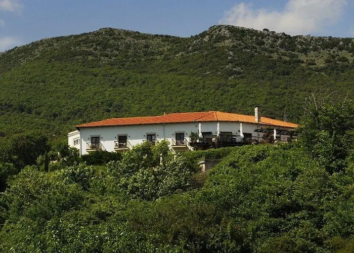 Jennifer Taxiarches (Drama)